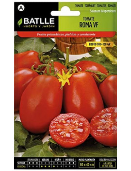 Semillas de Tomate Roma VF
