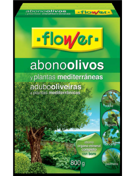 Adob Olivera i plantes...