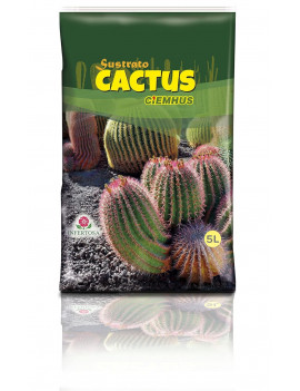 Terra Per a cactus
