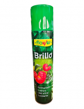 Brillo Planta Natural...